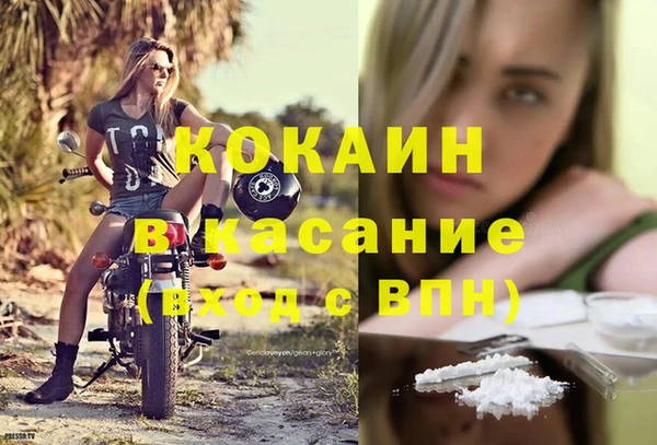 стафф Щигры